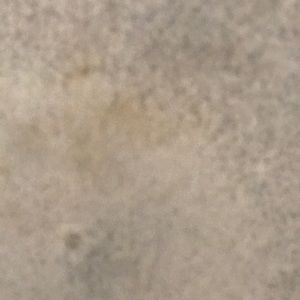 Meet your Posher, Belem